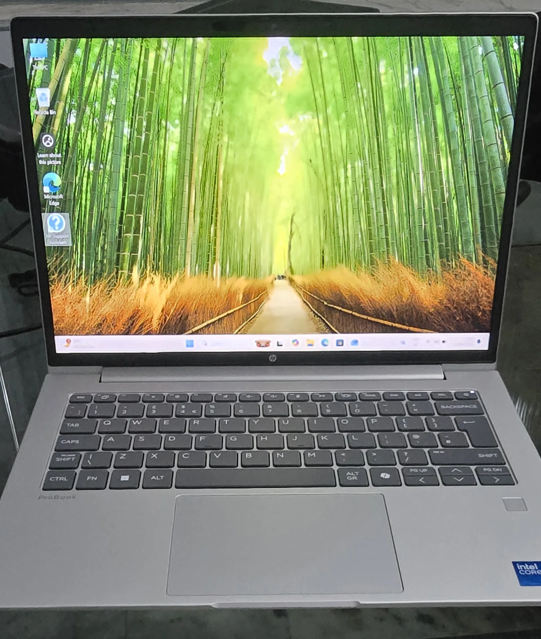 HP Probook 4 (440 G11)