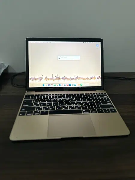 Apple Macbook 2015 Early