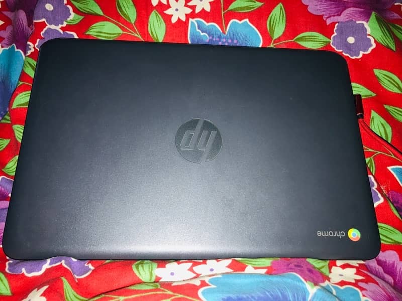 Hp Chromebook