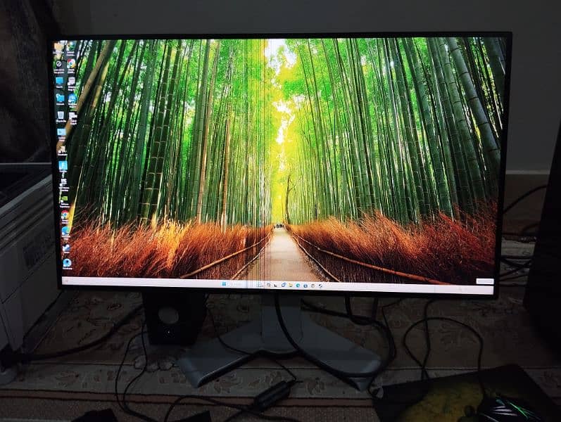 Dell Gaming monitor