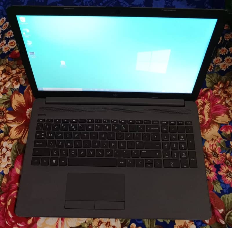 HP AMD 10thGEN 2GB-Radeon Graphic Card 8GB DDR4-RAM 256GB-SSD 15.6INCH