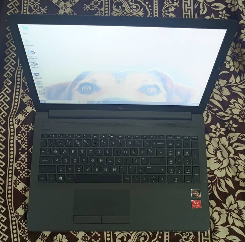 HP Ryzen 3 8GB RAM 256GB SSD 1GB Radeon 15.6inch HD LED 3-Hour timing