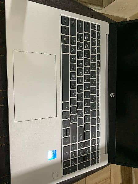 Hp 250 g10 i5 13gen 16gb 512 gb nvme