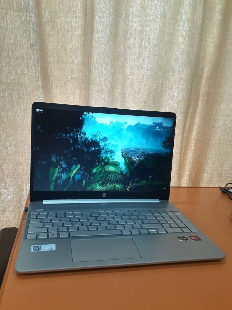 HP AMD Ryzen 5 5500U with Radeon Graphics