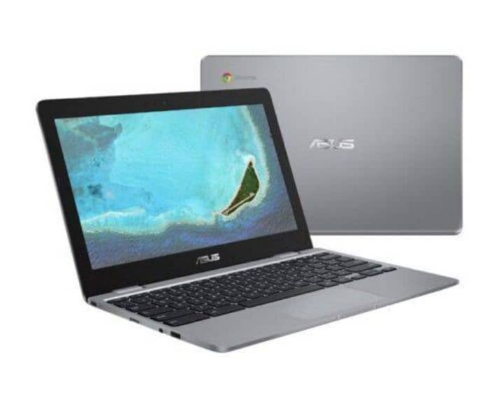 Chrome Book C302C