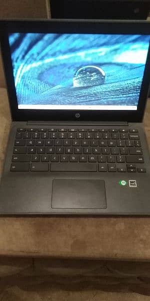 hp laptop chrome