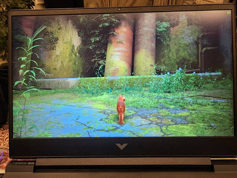 HP vitus 15