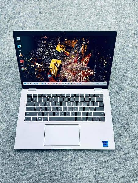 Dell Latitude 5420 / heavy duty notebook