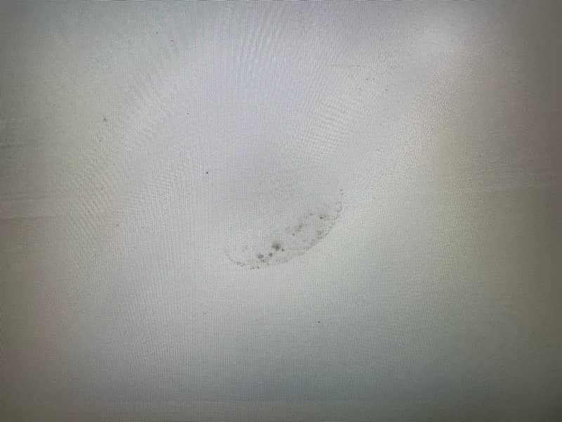 Dell Latitude e7440 Screen Only
