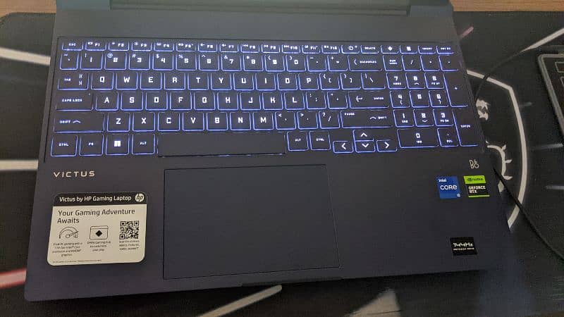 HP Victus i5 13th gen