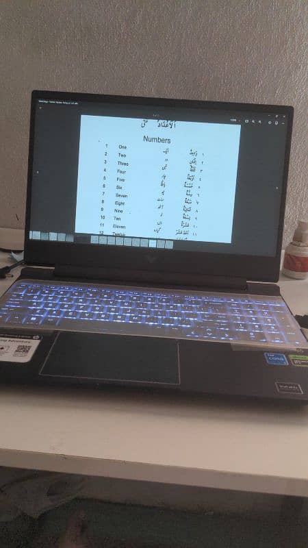 HP Victus 13th Generation