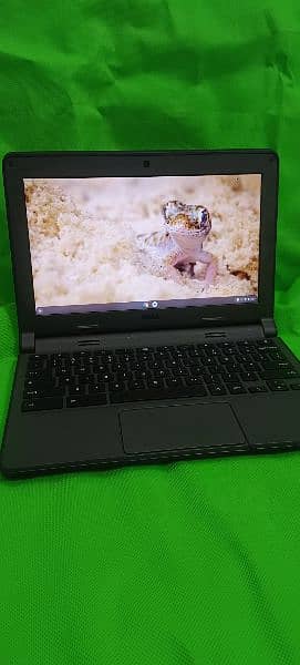 Dell Chromebook 3120