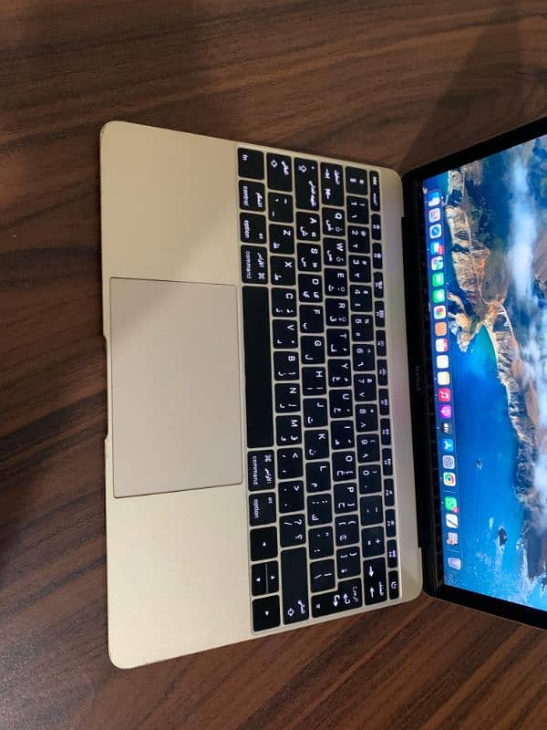 Macbook ratina 12 inches with original charger