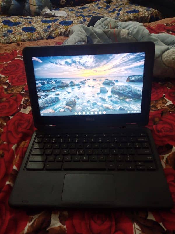 dell laptop Chromebook 11 3189