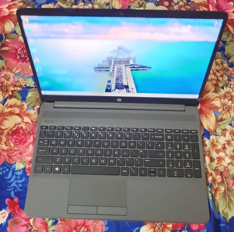 HP G8 Ryzen 5 (Year 2021) 4GB dedicated Graphic 16GB-RAM 256GB-NVMe